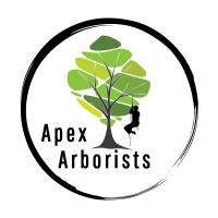 Apex Arborists image 4